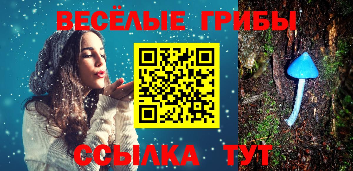Зерноград  Галлюциногенные грибы Psilocybe  Вход с VPN  Псилоцибиновые грибы MAGIC MUSHROOMS 